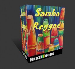 sambareagebox2