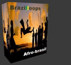 afrobrasaboxready2